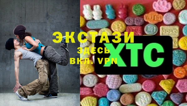 индика Арсеньев